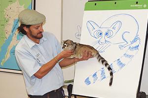 Educator with Ringtail